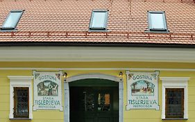 Guesthouse Stari Tišler